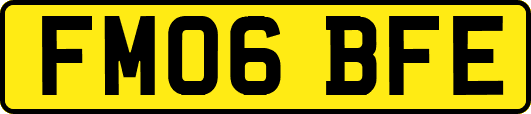 FM06BFE