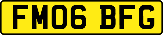 FM06BFG
