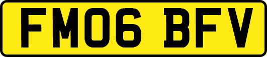 FM06BFV