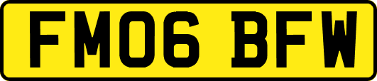 FM06BFW
