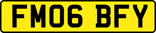 FM06BFY