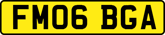 FM06BGA