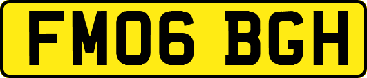 FM06BGH