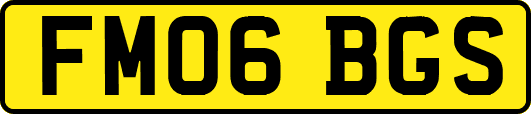FM06BGS