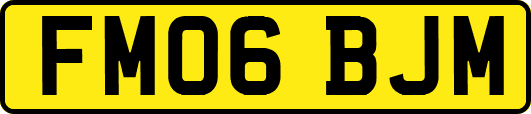 FM06BJM
