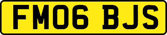 FM06BJS