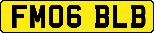 FM06BLB