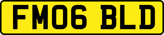 FM06BLD