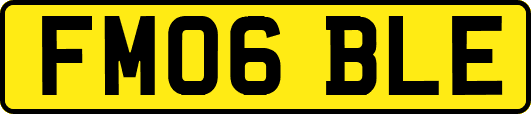 FM06BLE