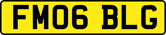 FM06BLG