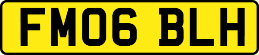 FM06BLH