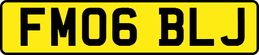 FM06BLJ