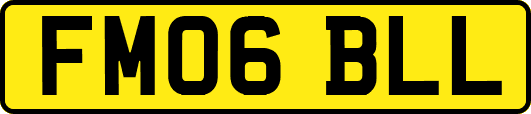 FM06BLL