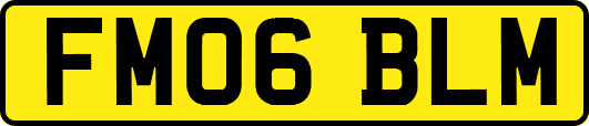 FM06BLM