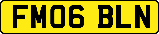 FM06BLN