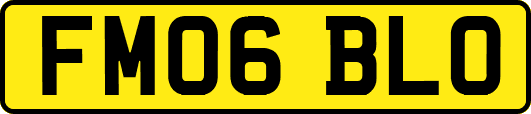 FM06BLO