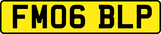 FM06BLP