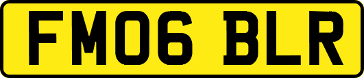 FM06BLR