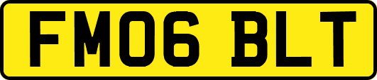 FM06BLT