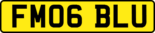 FM06BLU
