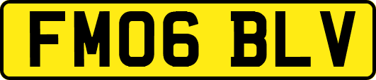 FM06BLV
