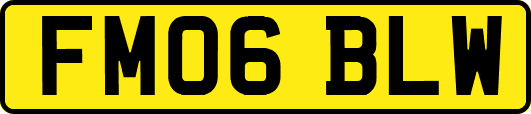 FM06BLW
