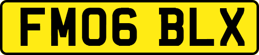 FM06BLX
