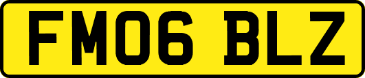 FM06BLZ