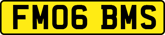 FM06BMS