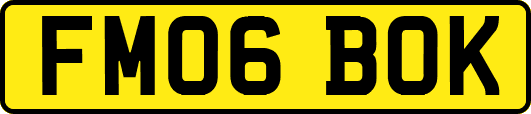 FM06BOK