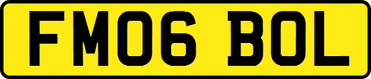 FM06BOL