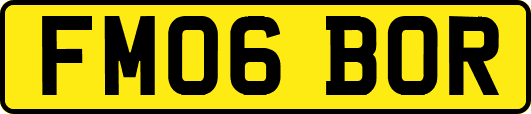 FM06BOR
