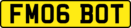 FM06BOT