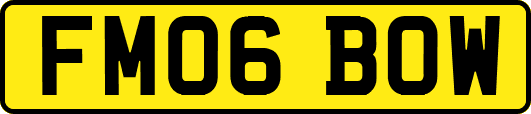 FM06BOW