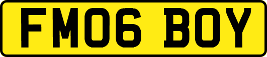 FM06BOY