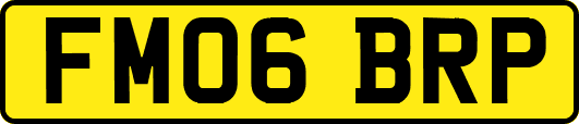 FM06BRP