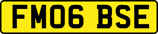 FM06BSE
