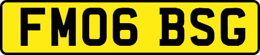 FM06BSG