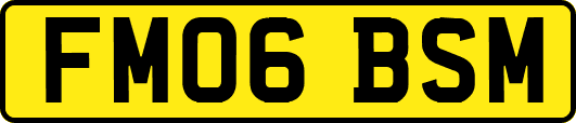 FM06BSM