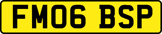 FM06BSP