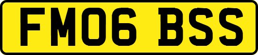 FM06BSS