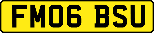 FM06BSU