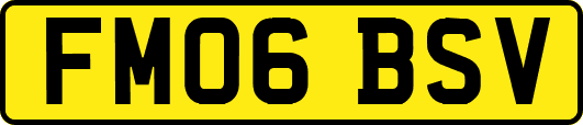 FM06BSV