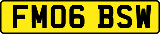 FM06BSW