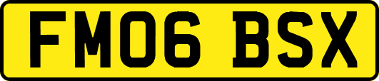 FM06BSX