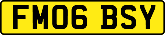 FM06BSY