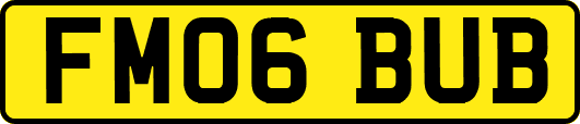FM06BUB