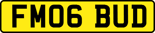 FM06BUD