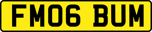 FM06BUM