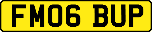 FM06BUP